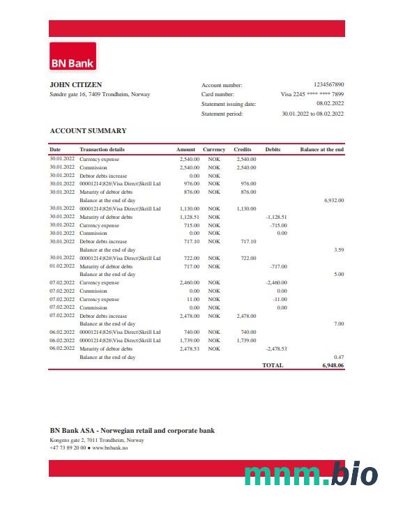 Macedonia Północna Stater Banka szablon wyciągu bankowego w programie Word i PDF